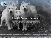 CANIL NEW EVEREST