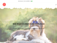 Canil Von Haydan - Criadores da raa Biewer Yorkshire Terrier