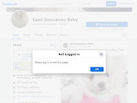 SHIH TZU filhotes com pedigree